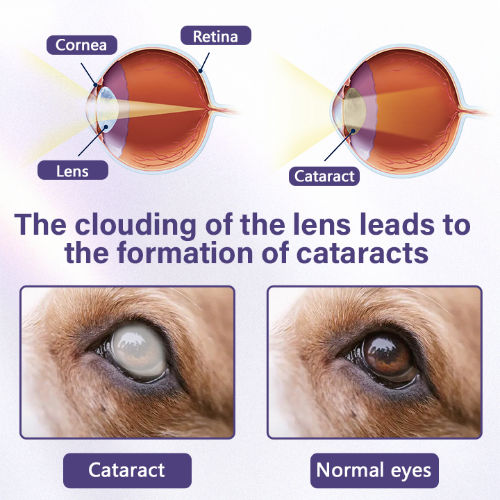Timilk® NanoCare Očné kvapky pre domáce zvieratá 👩‍⚕️ Schválené FDA | Uľavujú od zápalu spojiviek, suchých očí, sivého zákalu a zápalu rohovky 🐶🐱
