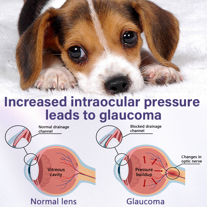 Timilk® NanoCare Očné kvapky pre domáce zvieratá 👩‍⚕️ Schválené FDA | Uľavujú od zápalu spojiviek, suchých očí, sivého zákalu a zápalu rohovky 🐶🐱